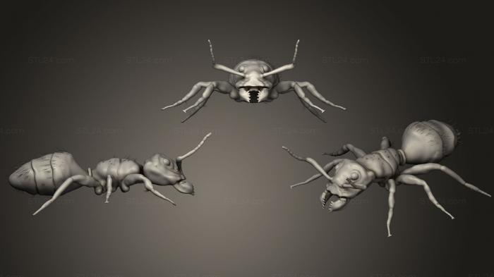 Insects (Carpenter Ant, INSCT_0002) 3D models for cnc